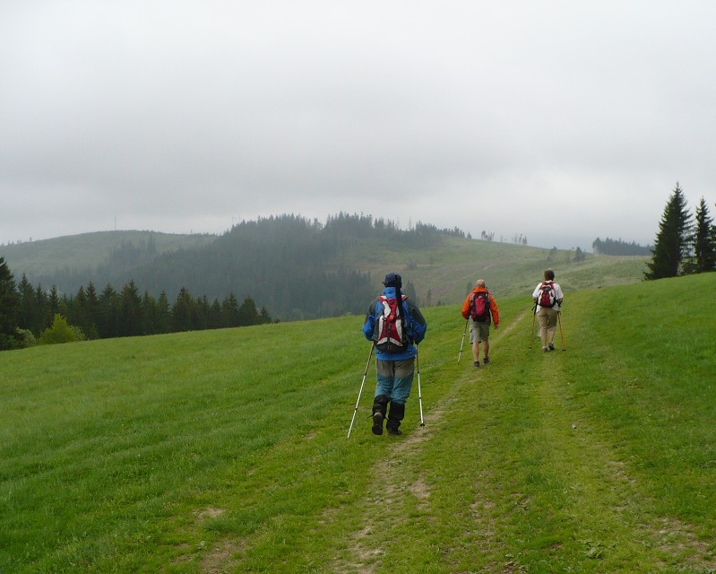 img00031.jpg