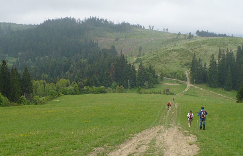 img00032.jpg