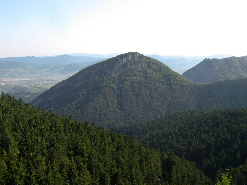 img00003.jpg