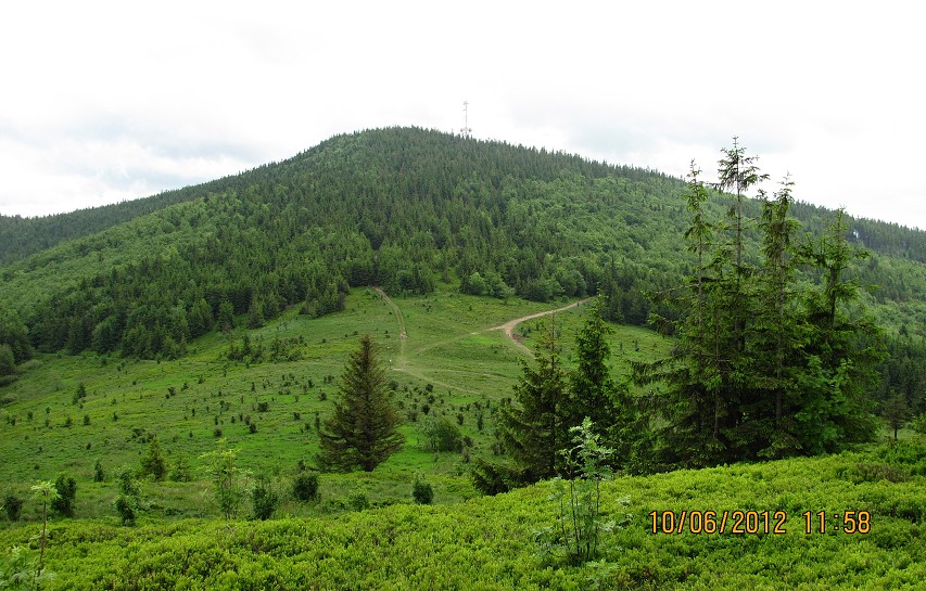 img00039.jpg