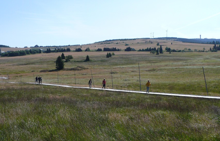 img00014.jpg