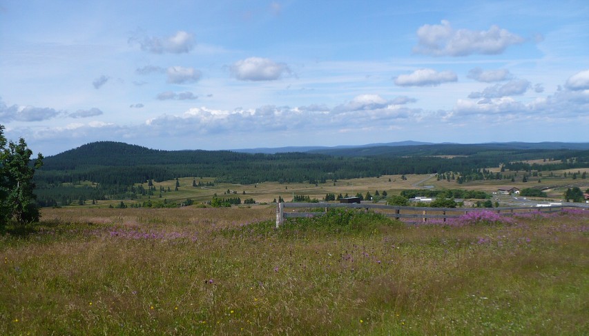img00019.jpg