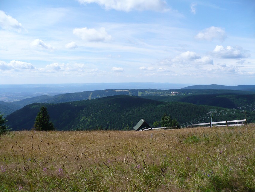 img00020.jpg