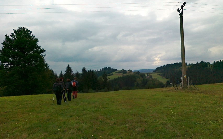 img00042.jpg