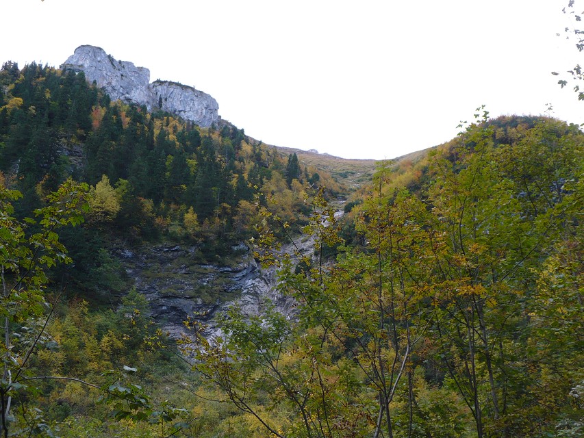 img00008.jpg