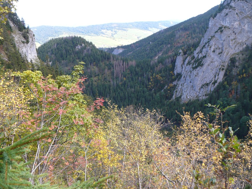 img00010.jpg