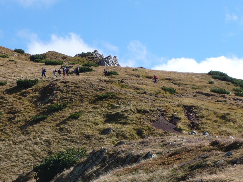 img00035.jpg