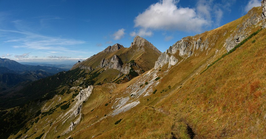 img00037.jpg