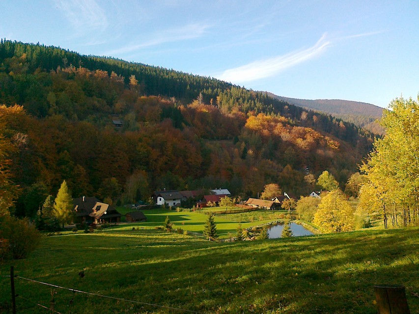 img00024.jpg