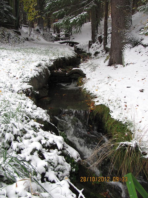 img00003.jpg