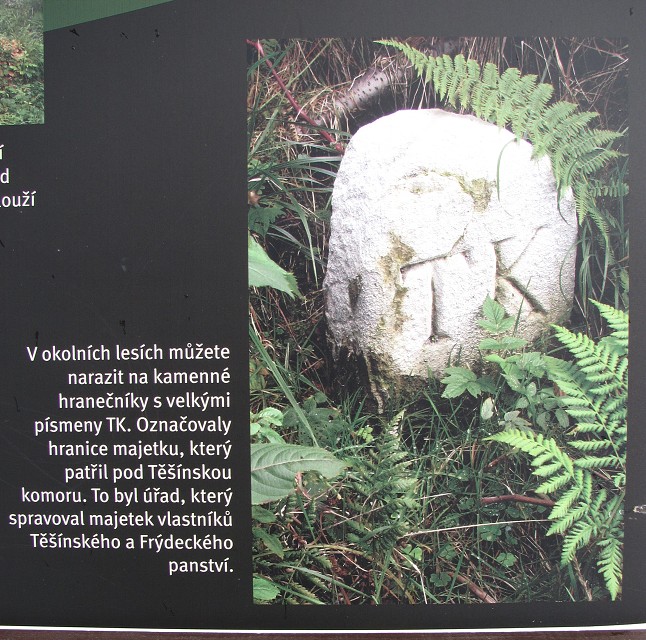 img00006.jpg