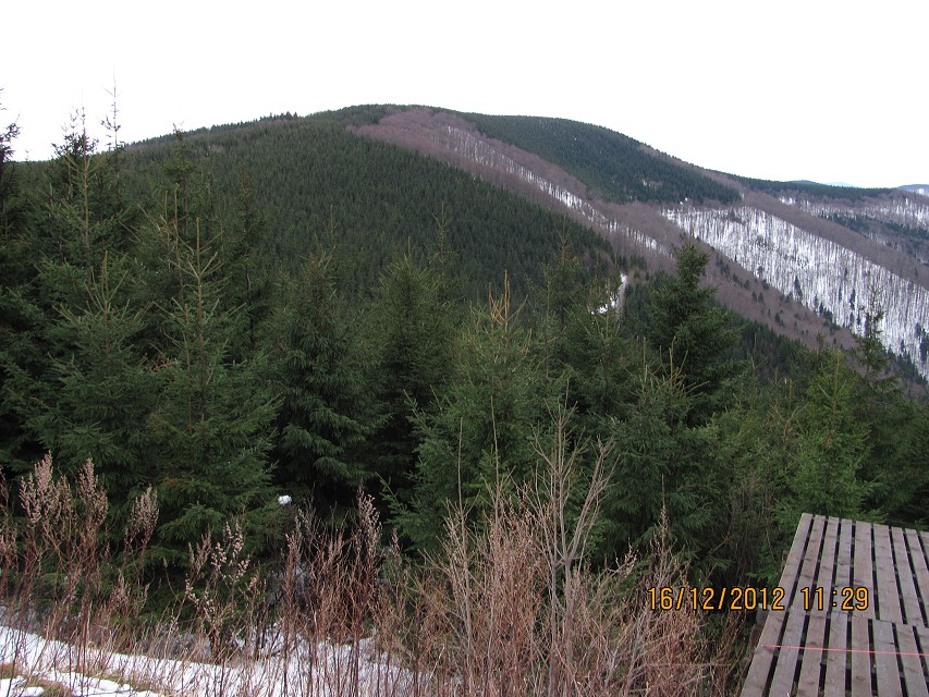 img00011.jpg