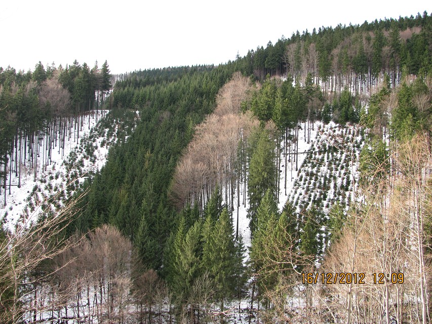 img00016.jpg