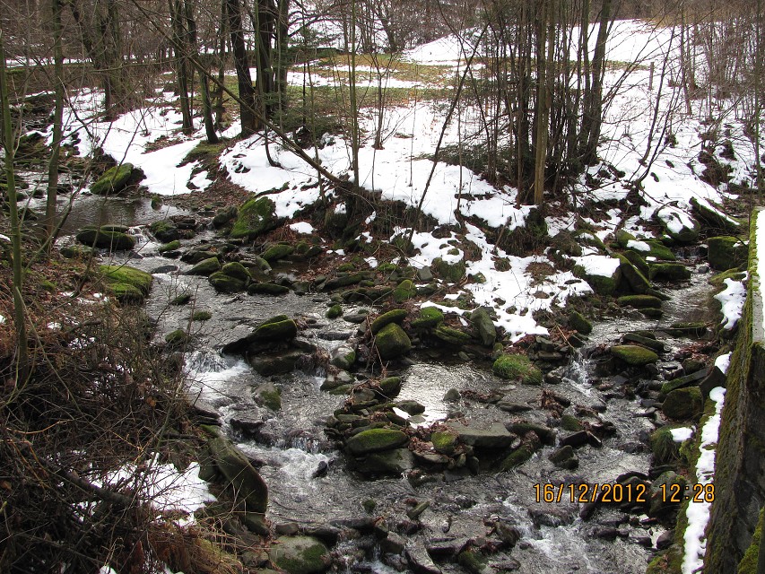 img00018.jpg