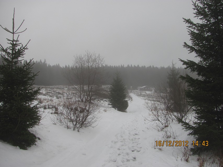 img00025.jpg