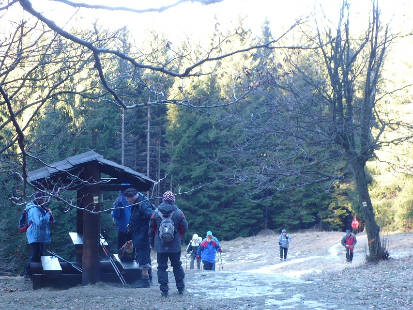img00005.jpg