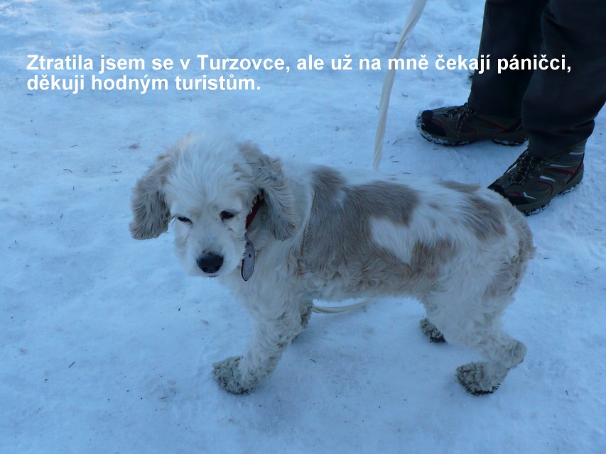 img00056.jpg