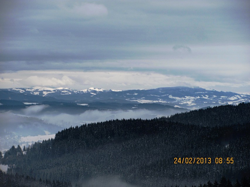 img00006.jpg
