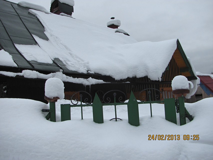 img00007.jpg