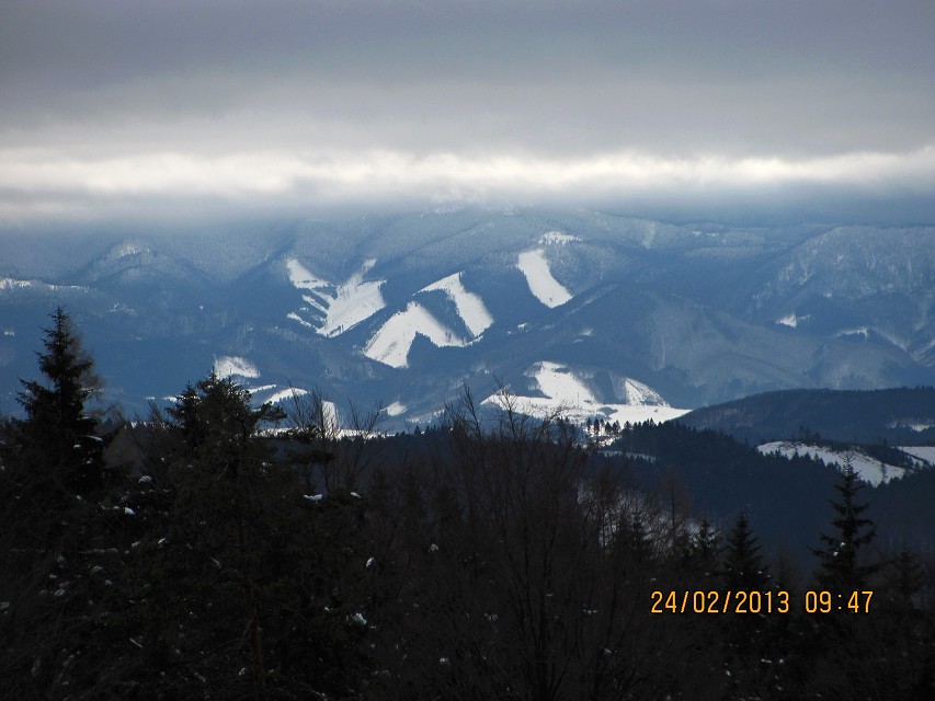 img00009.jpg