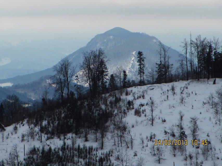 img00016.jpg
