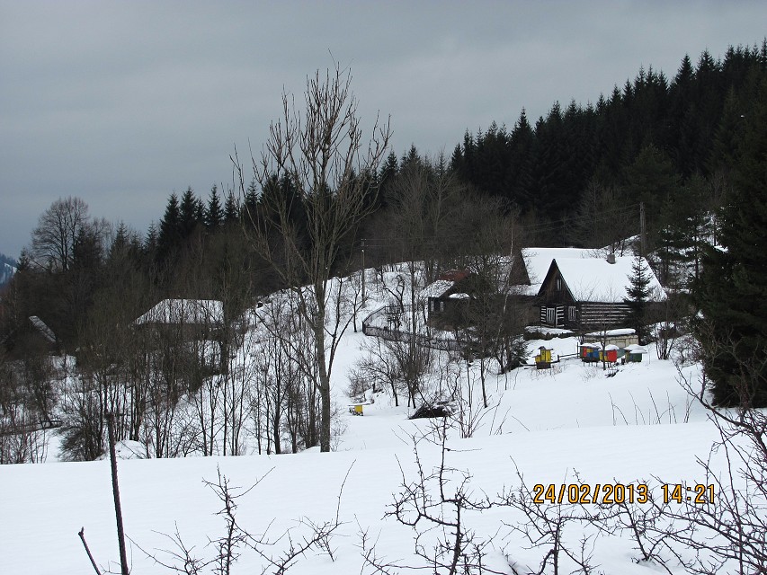 img00028.jpg