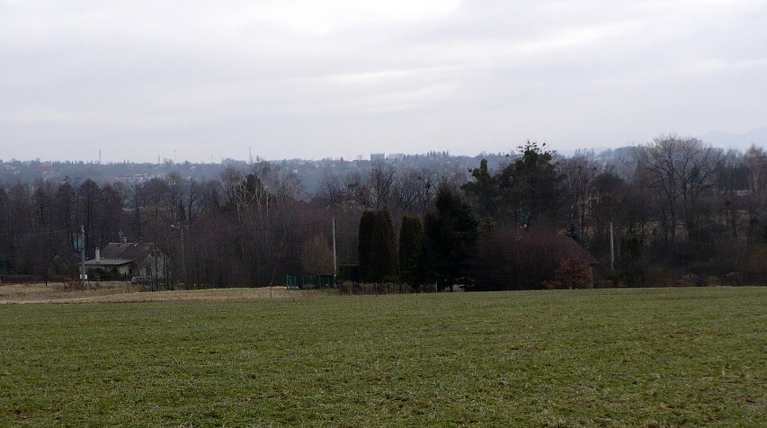 img00007.jpg
