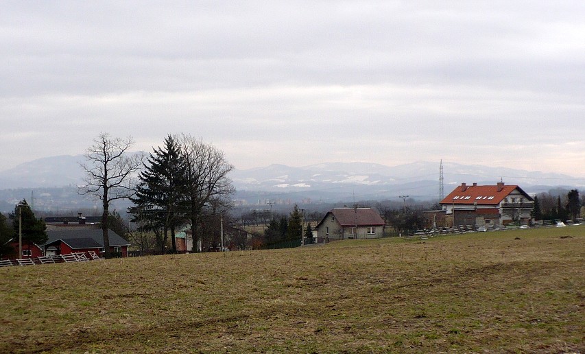 img00015.jpg