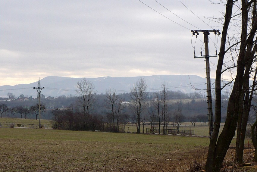 img00016.jpg