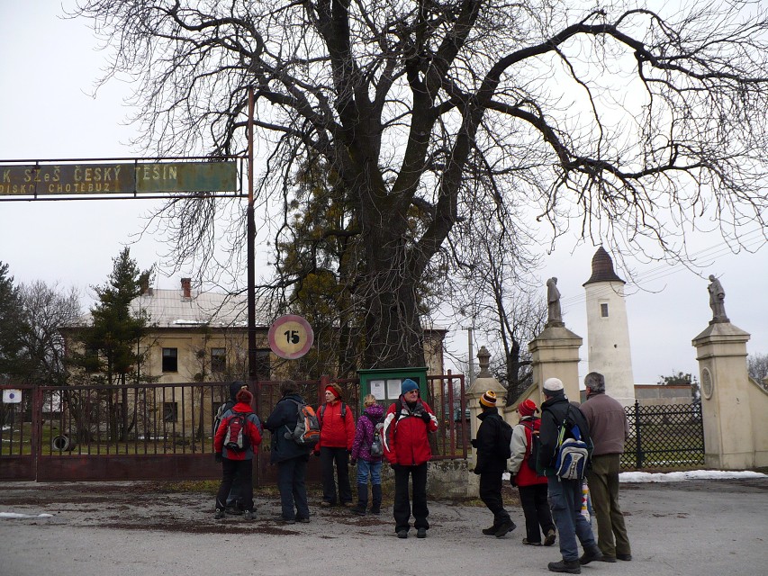 img00017.jpg