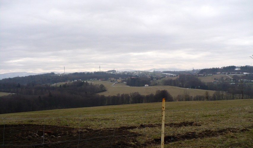img00019.jpg