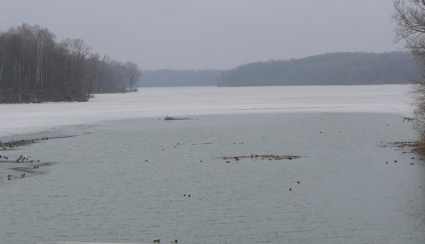 img00041.jpg