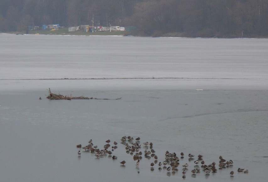 img00043.jpg