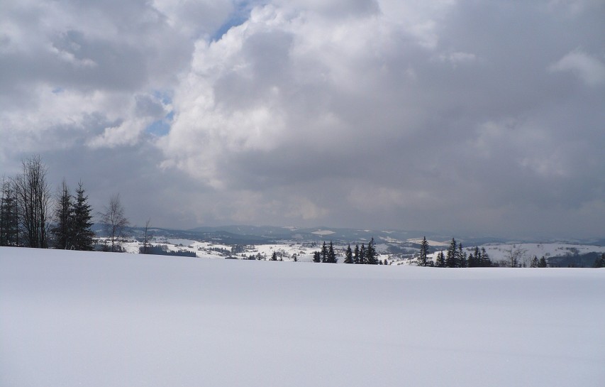 img00008.jpg