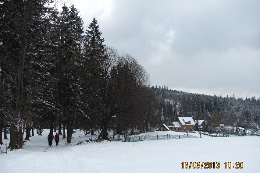 img00011.jpg
