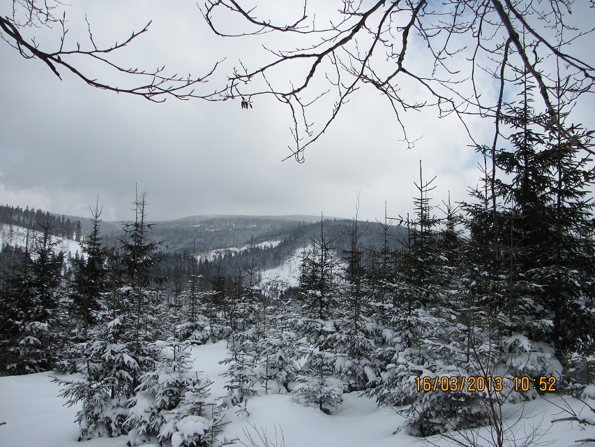 img00013.jpg