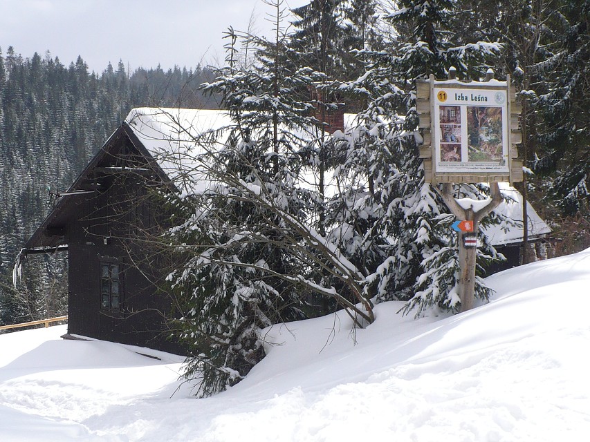 img00017.jpg