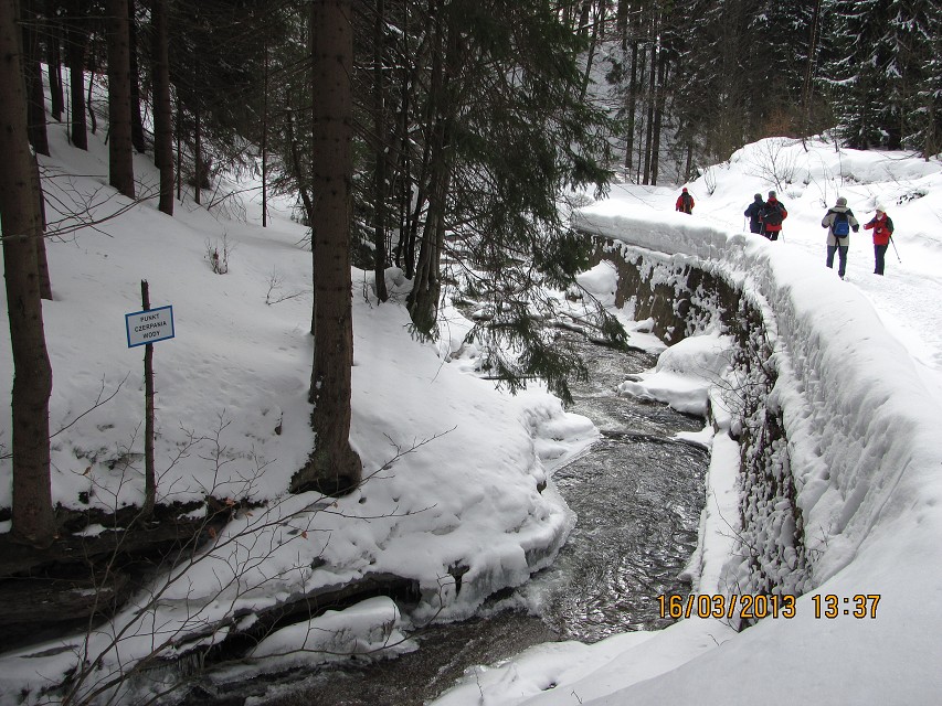 img00035.jpg