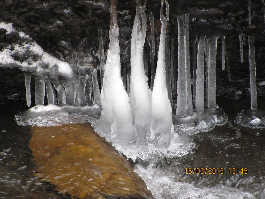 img00039.jpg