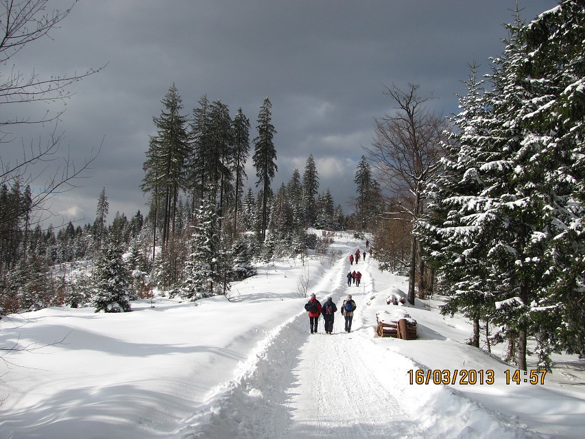 img00045.jpg