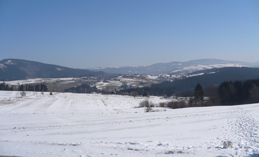 img00010.jpg