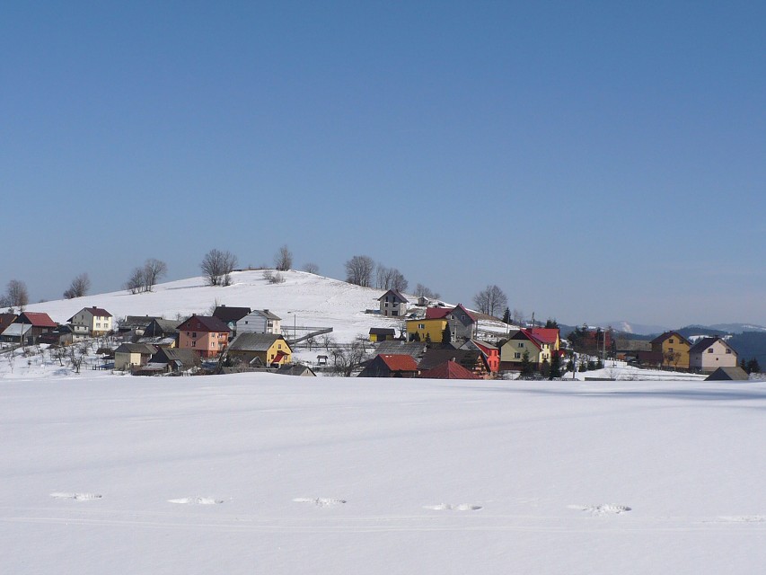 img00037.jpg