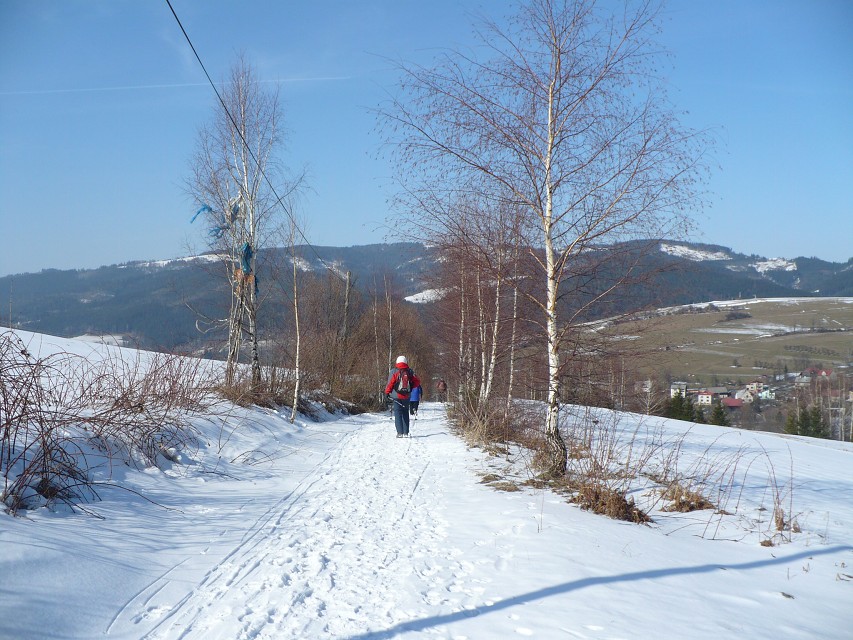 img00040.jpg
