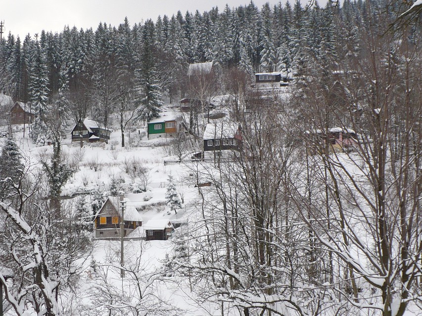 img00004.jpg
