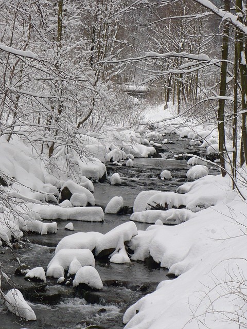 img00006.jpg