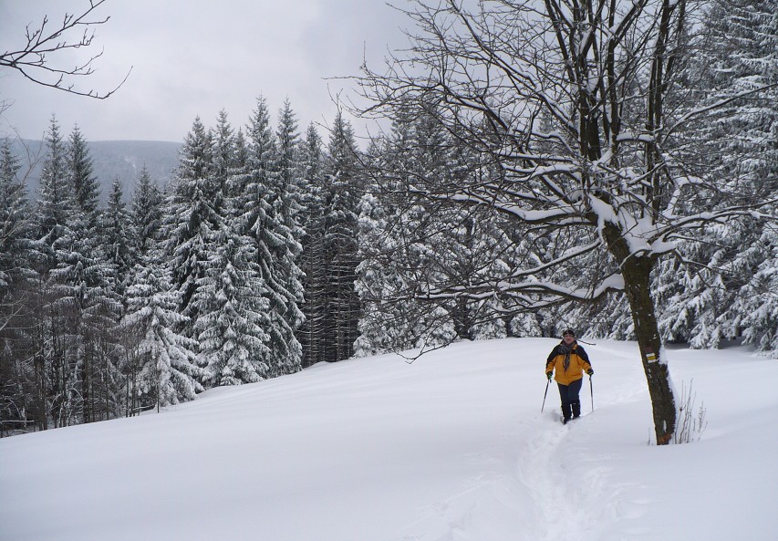 img00011.jpg