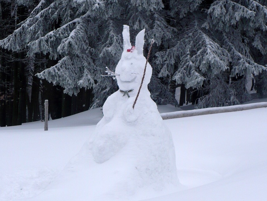 img00018.jpg