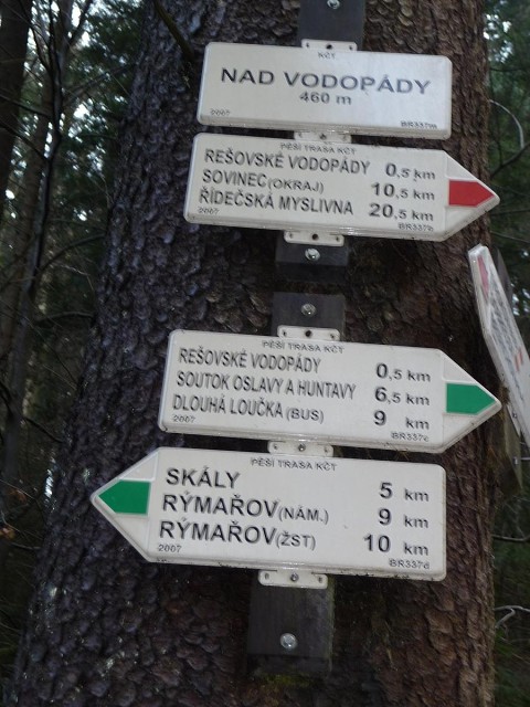 img00007.jpg