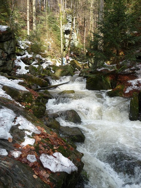 img00011.jpg
