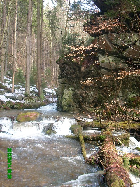 img00016.jpg